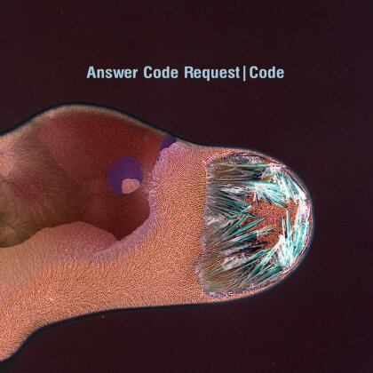 Answer Code Request - Code (LP)