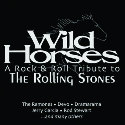 Tribute To Rolling Stones - Wild Horses: A Rock & Roll