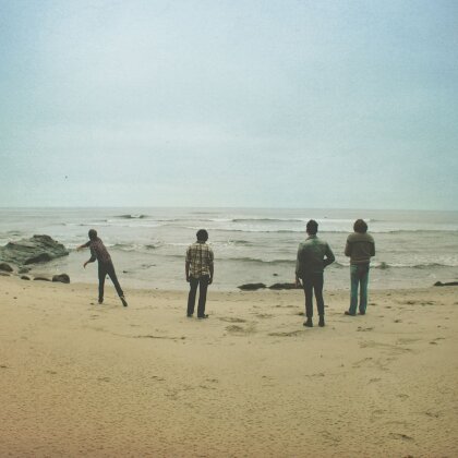 The Donkeys - Ride The Black Wave (LP)