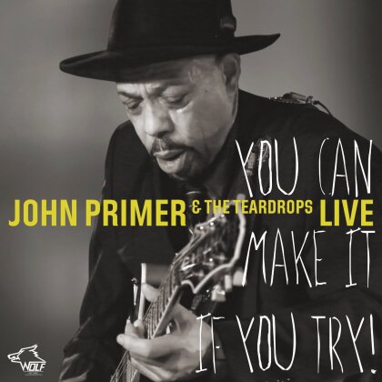 John Primer - You Can Make It If You Try