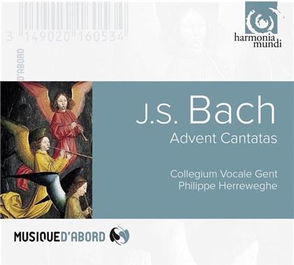 Johann Sebastian Bach (1685-1750), Philippe Herreweghe & Collegium Vocale Gent - Advent Cantatas