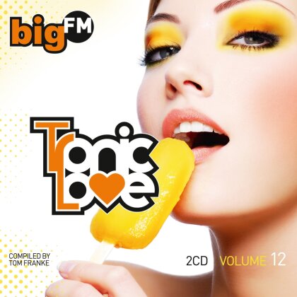 Bigfm Tronic Love - Vol. 12 (2 CDs)