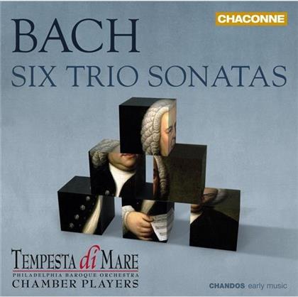 Tempesta di Mare, Johann Sebastian Bach (1685-1750) & Philadelphia Baroque Orchestra - Triosonaten Bwv 525-530
