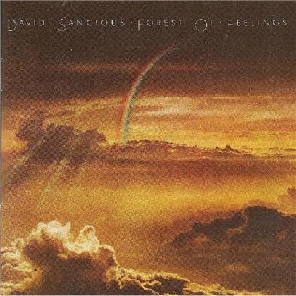 David Sancious - Forest Of Feelings (New Version)