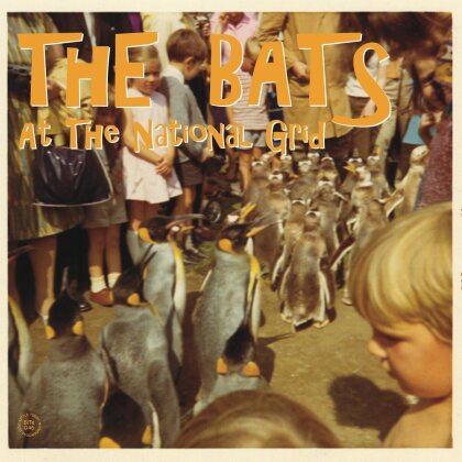 The Bats - At The National Grid (New Version)