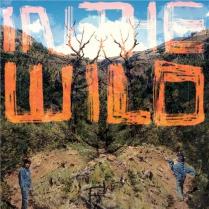 FaltyDL - In The Wild