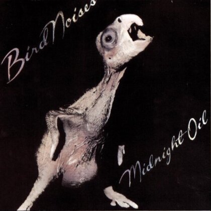 Midnight Oil - Bird Noises (Remastered)