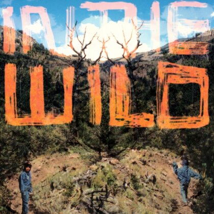 FaltyDL - In The Wild (2 LPs + Digital Copy)