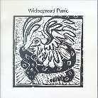 Widespread Panic - --- (LP)