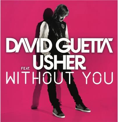 David Guetta & Usher - Without You (12" Maxi)