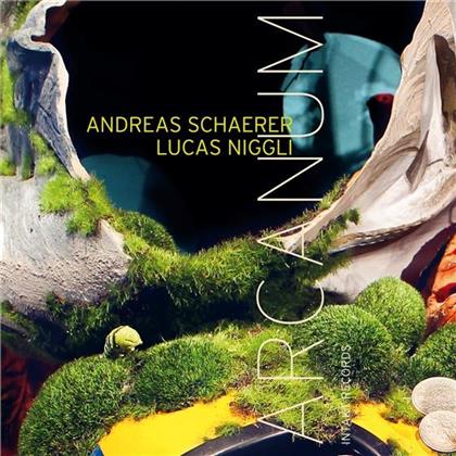 Andreas Schaerer-Bänz & Lucas Niggli - Arcanum