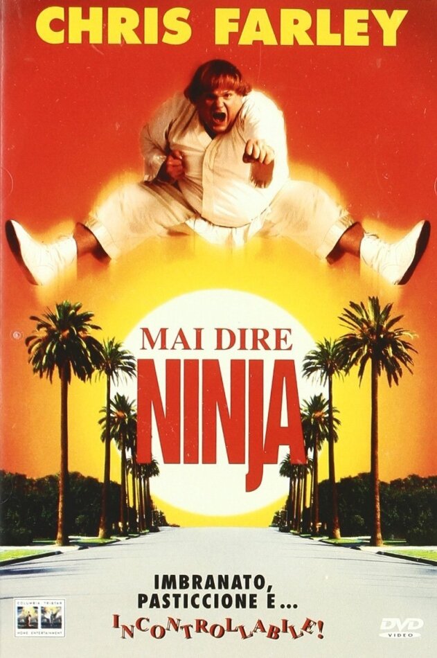 Mai dire Ninja (1997)