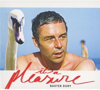 Baxter Dury - It's A Pleasure