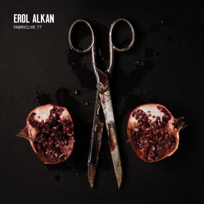 Fabric Live - 77 Alkan Erol