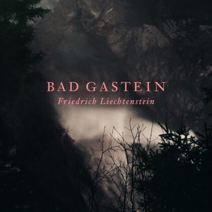Friedrich Liechtenstein - Bad Gastein (LP + CD)