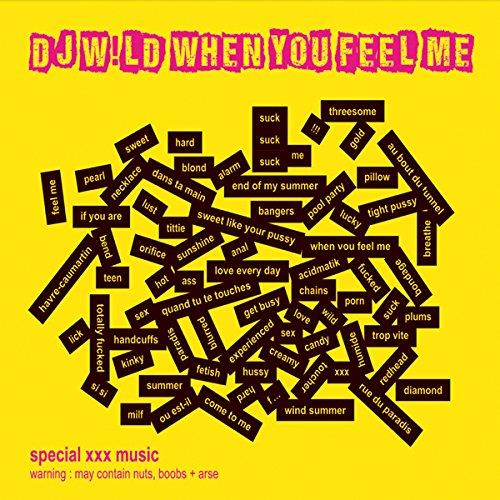 DJ Wild - When You Feel Me 2 CDs