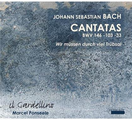 Johann Sebastian Bach (1685-1750), Marcel Ponsele & Baroque orchestra il Gardellino - Cantatas Bwv33, 103, 146