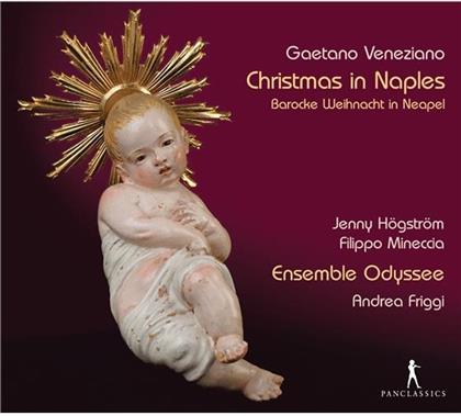 Gaetano Veneziano (1665-1716), Andrea Friggi, Jenny Hoegstroem, Filippo Mineccia & Ensemble Odyssee - Christmas In Naples