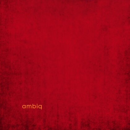 Max Loderbauer, Claudio Puntin & Samuel Rohrer - Ambiq (2 LPs)