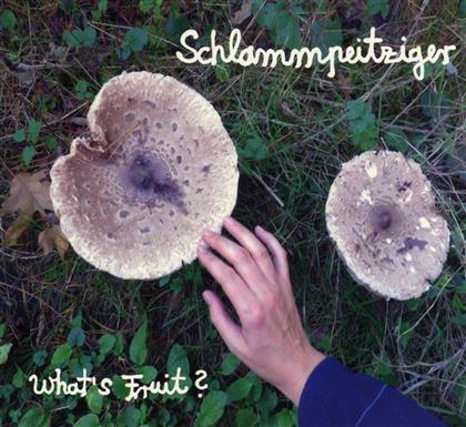 Schlammpeitziger - What's Fruit