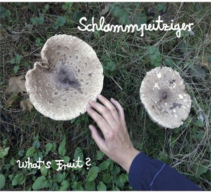 Schlammpeitziger - What's Fruit (LP + Digital Copy)