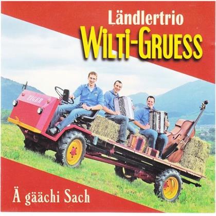 Ländlertrio Wilti-Gruess - Ä Gäächi Sach