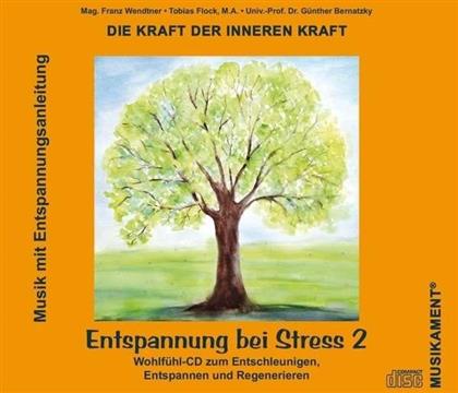 Bernatzky, Wendtner & The Flock - Entspannung Bei Stress 2