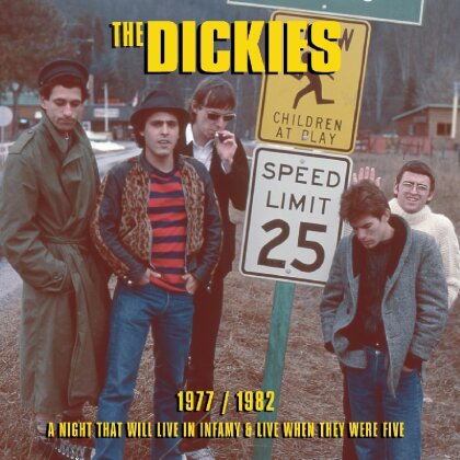 The Dickies - 1977/1982 A Night That
