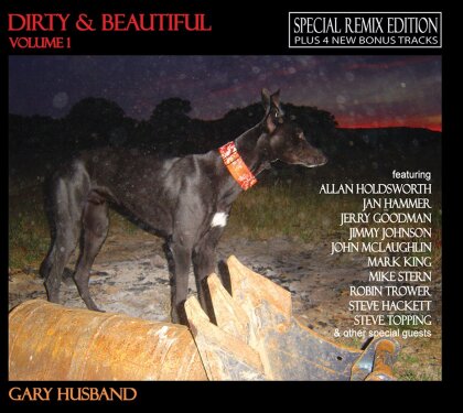 Gary Husband - Dirty & Beautiful 1 (Remix Edition)