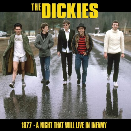 The Dickies - Night That Will Live In Infamy 1977 (LP)