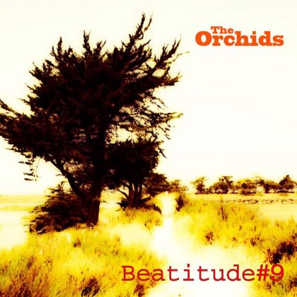 The Orchids - Beatitude No 9