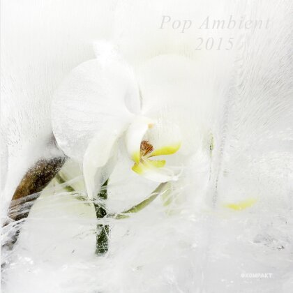 Pop Ambient - Various 2015 (LP + CD)