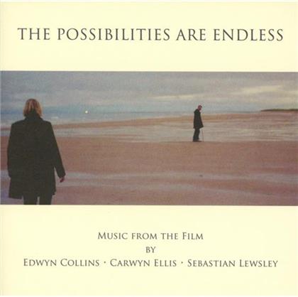 Edward Collins, Carwyn Ellis & Sebastian Lewsley - The Possibilities Are Endless - OST (CD)