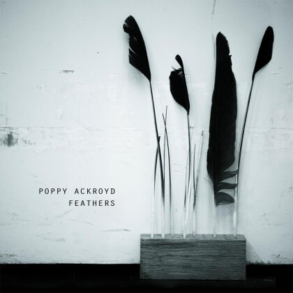 Poppy Ackroyd - Feathers (LP)