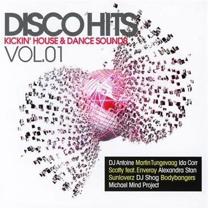 Disco Hits 2015 (2 CDs)