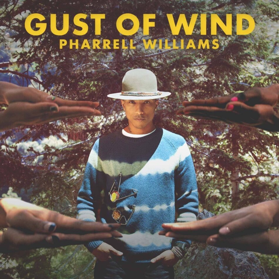 Pharrell Williams (N.E.R.D.) - Gust Of Wind