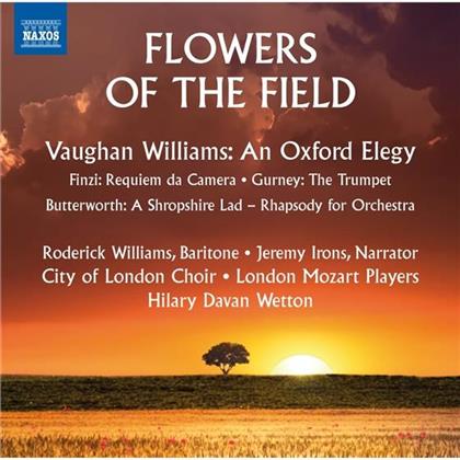 Roderick Williams, George Butterworth (1885-1916), Gerald Finzi (1901-1956), Ivor Gurney (1890-1937), Hilary Davan Wetton, … - Flowers Of The Field