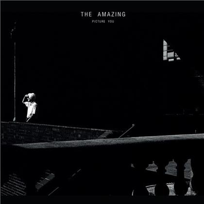 The Amazing - Picture You