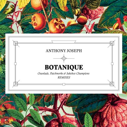 Anthony Joseph - Botanique / Remixes (12" Maxi)