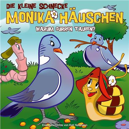 Die Kleine Schnecke Monika Häuschen - 39 Warum Gurren Tauben?