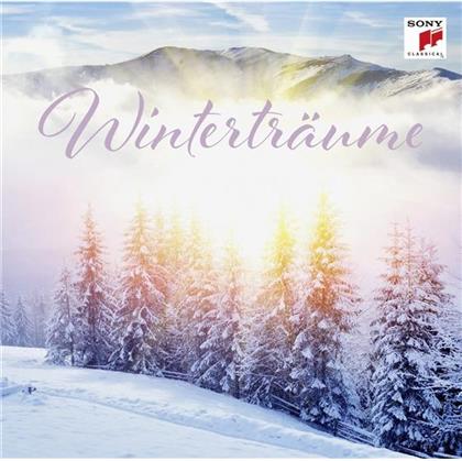 The Royal Philharmonic Orchestra, Hille Perl, James Galway, +, … - Winterträume