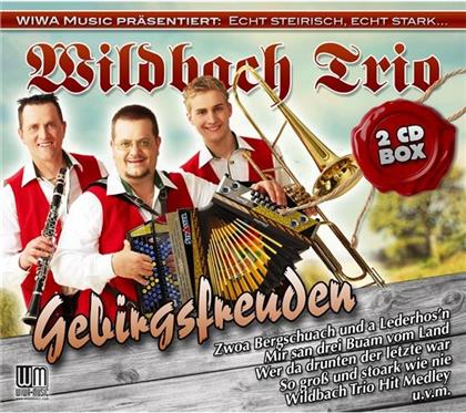 Wildbach Trio - Gebirgsfreuden (2 CDs)