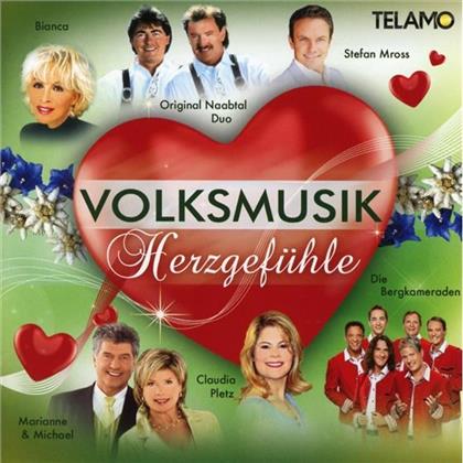 Volksmusik Herzgefühle
