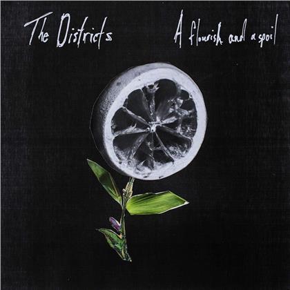 The Districts - A Flourish & A Spoil (LP)