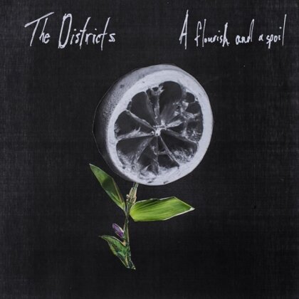The Districts - Flourish And A Spoil (LP)