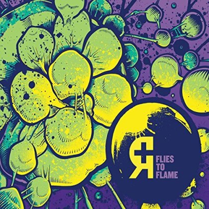 Rosetta - Flies To Flame (LP)
