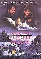 Angel flight down (1996)