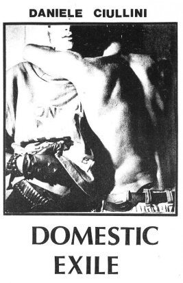 Daniele Ciullini - Domestic Exile Collected Works 82 - 86 (LP)