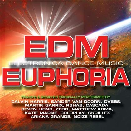 EDM Euphoria - Various