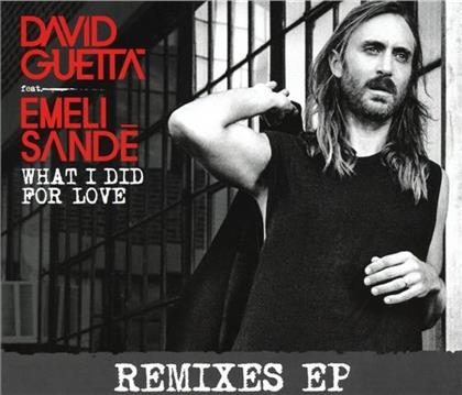 David Guetta & Emeli Sande - What I Did For Love